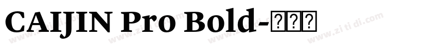 CAIJIN Pro Bold字体转换